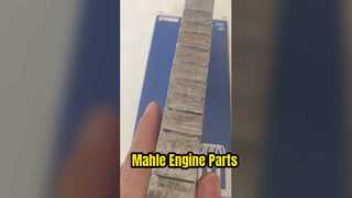 MAHLE D6D MOTORLAGER 82533100 Zylinderlaufbuchsensatz RIK Kolbenringe 3837146 Mahle 03816vo